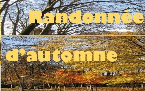 Dimanche 27 Novembre – 10h30 – Randonnée Welcome